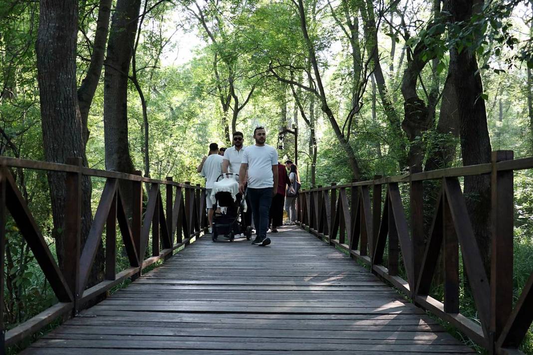 Vay be, Samsun'un böyle bir yeri varmış! Adeta cennetten bir köşe, gelip görmeye değer 5